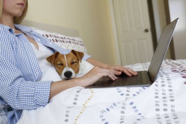 Coronavirus karantinası nedeniyle dizüstü bilgisayarında evinden uzakta çalışan genç bir kadının yakın çekim görüntüsü. Jack Russell Terrier köpeğiyle serbest çalışan bir kadın. Boşluğu kopyala, arkaplan,