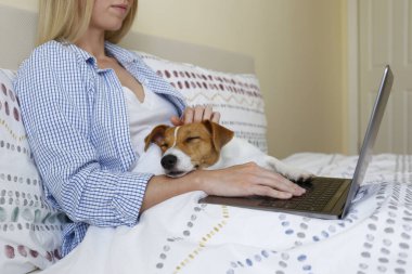 Close up shot of young woman working remotely from home in her bed on laptop due to coronavirus quarantine. Freelancer female with her jack russell terrier puppy. Copy space, background, clipart