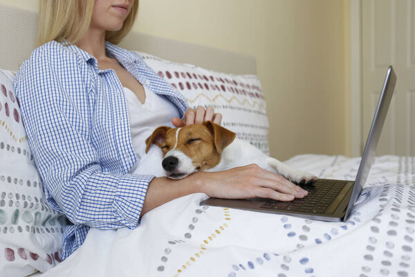 Close up shot of young woman working remotely from home in her bed on laptop due to coronavirus quarantine. Freelancer female with her jack russell terrier puppy. Copy space, background,