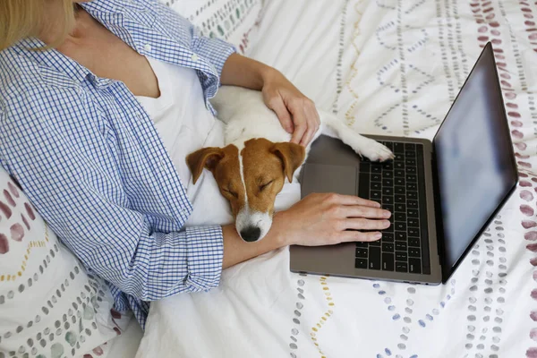 Coronavirus karantinası nedeniyle dizüstü bilgisayarında evinden uzakta çalışan genç bir kadının yakın çekim görüntüsü. Jack Russell Terrier köpeğiyle serbest çalışan bir kadın. Boşluğu kopyala, arkaplan,