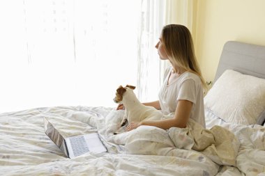 Coronavirus karantinası nedeniyle dizüstü bilgisayarında evinden uzakta çalışan genç bir kadının yakın çekim görüntüsü. Jack Russell Terrier köpeğiyle serbest çalışan bir kadın. Boşluğu kopyala, arkaplan,