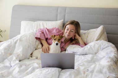 Coronavirus karantinası nedeniyle dizüstü bilgisayarında evinden uzakta çalışan genç bir kadının yakın çekim görüntüsü. Jack Russell Terrier köpeğiyle serbest çalışan bir kadın. Boşluğu kopyala, arkaplan,