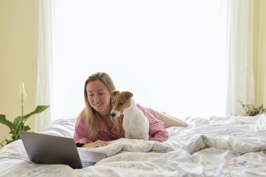 Coronavirus karantinası nedeniyle dizüstü bilgisayarında evinden uzakta çalışan genç bir kadının yakın çekim görüntüsü. Jack Russell Terrier köpeğiyle serbest çalışan bir kadın. Boşluğu kopyala, arkaplan,