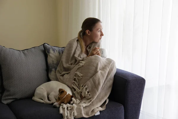 Depresyondaki Bekar Kadın Dünya Çapında Karantina Nedeniyle Köpeğiyle Evde Tek — Stok fotoğraf