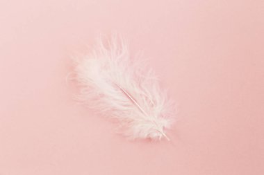 Pastel pembe kağıda süsleme olarak beyaz bir tüy. Arka plan desenli ve metin için bir sürü kopya alanı var. Düz yatış, üst görünüm.