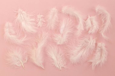 Pastel pembe kağıtta bir sürü beyaz tüy ve metin için bir sürü kopya alanı var. Düz yatış, üst görünüm.