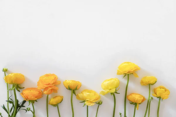 Όμορφο Μπουκέτο Από Κίτρινα Λουλούδια Ranunculus Ορατή Δομή Πέταλο Υφή — Φωτογραφία Αρχείου