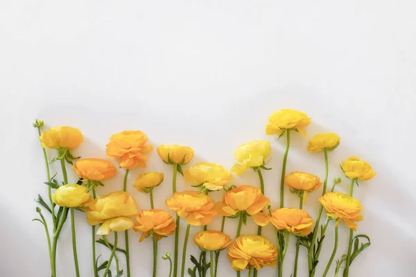 Schöner Strauß Gelber Hahnenfußblüten Mit Sichtbarer Struktur Der Blütenblätter Nahkomposition — Stockfoto