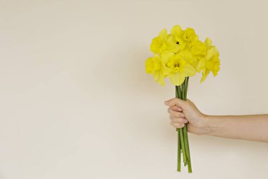 Kırpılmış kadın eli, parlak sarı nergis buketini tutarken. Bahar çiçekli kadın. Soluk pembe desenli arka plan, metin için kopyalama alanı. Üst görünüm, minimalist bileşim.