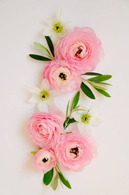 Görünür taç yaprağı desenli soluk pembe ranunculus çiçeklerinden oluşan güzel bir buket stüdyo resmi. Parlak çiçek tomurcukları ile yakın kompozisyon. Üst görünüm, izole edilmiş, kopyalama alanı.