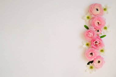 Görünür taç yaprağı desenli soluk pembe ranunculus çiçeklerinden oluşan güzel bir buket stüdyo resmi. Parlak çiçek tomurcukları ile yakın kompozisyon. Üst görünüm, izole edilmiş, kopyalama alanı.