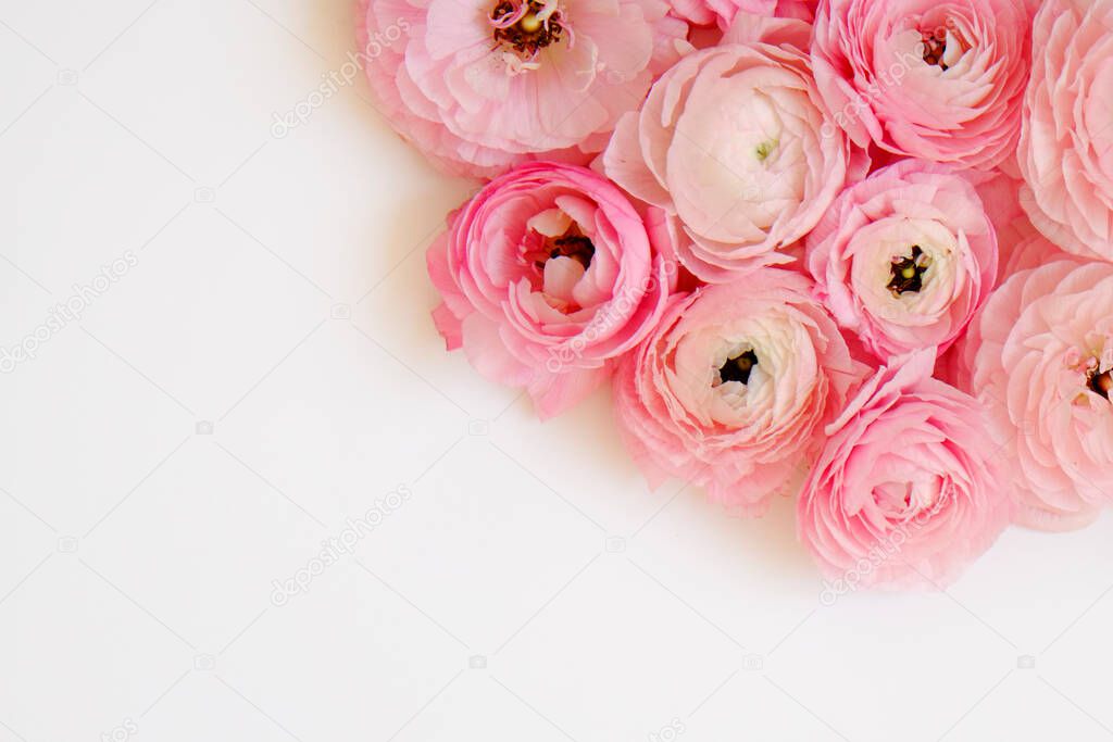 Studio shot of beautiful bouquet of pale pink ranunculus flowers with visible petal texture. Close up composition with bright patterns of flower buds. Top view, isolated, copy space.