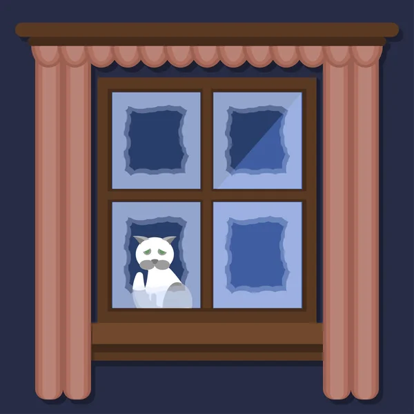Замороженный белый-серый кот зимой сидит за окном — стоковый вектор
