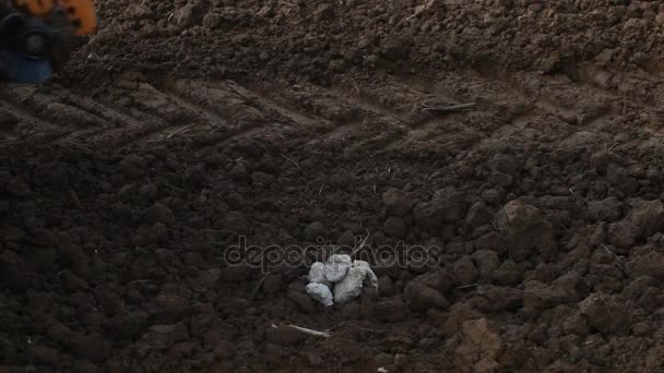 Бурение почвы с гидравлической скважиной — стоковое видео