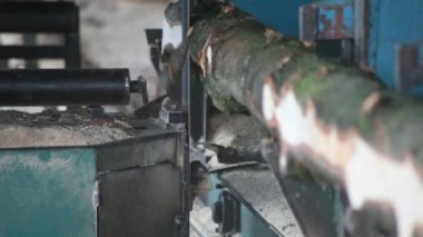 Şerit testere kesme kereste fabrikası