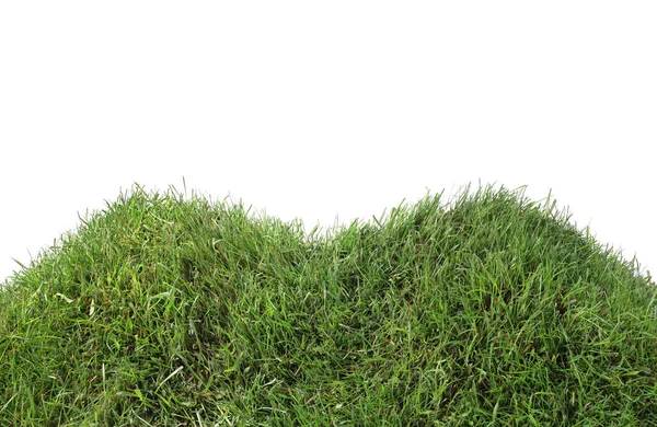 Simple Grassy Hill Cutout — Stock Photo, Image