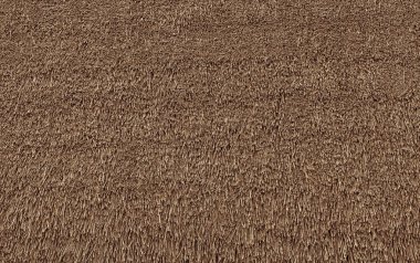 thatched çatı arka plan doku eski yıpranmış