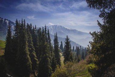 Gorge Kimasar. Almatı dağlar