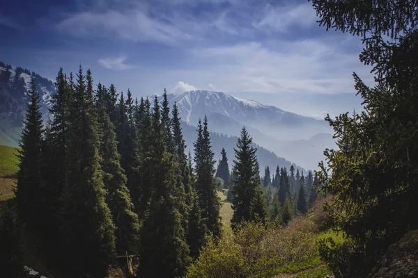 Gorge Kimasar. Almatı dağlar