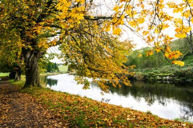 nehir sonbahar koruyu