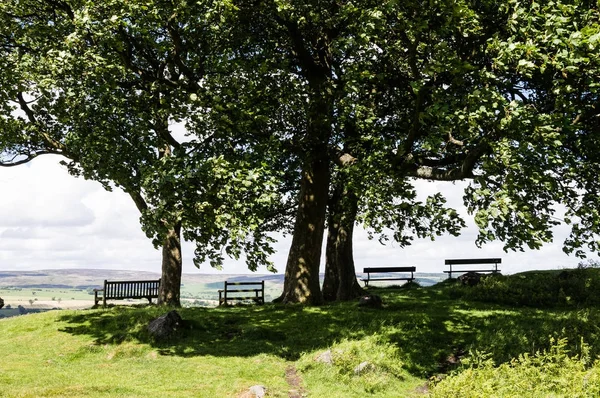 Gölgeli spot, Yorkshire