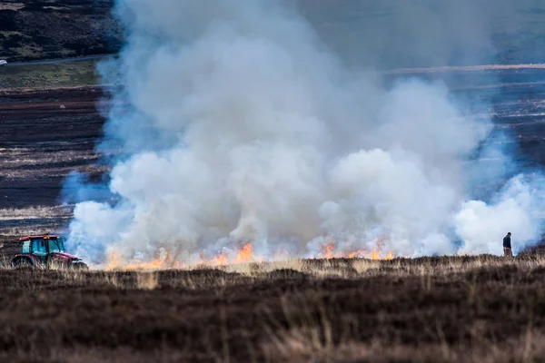 Bruciare Moorland — Foto Stock