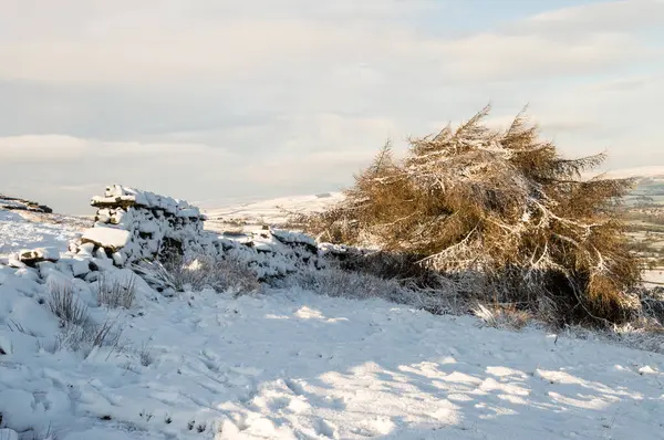 Addingham Moor — Stock fotografie