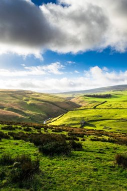 Darnbrook Malham Grassington