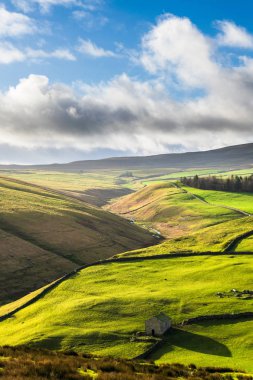 Darnbrook bozkırı. Yorkshire Dales Ulusal Parkı