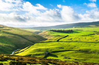 Darnbrook bozkırı. Yorkshire Dales Ulusal Parkı