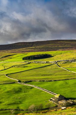 Darnbrook bozkırı. Yorkshire Dales Ulusal Parkı