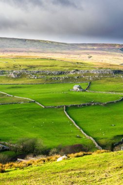 Darnbrook bozkırı. Yorkshire Dales Ulusal Parkı