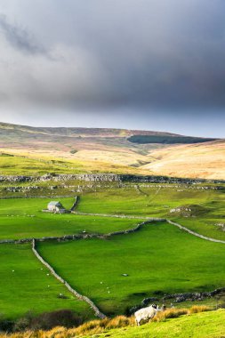 Darnbrook bozkırı. Yorkshire Dales Ulusal Parkı