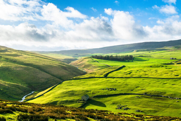Дарнбрук Мур. Йоркшир-Дейлс
