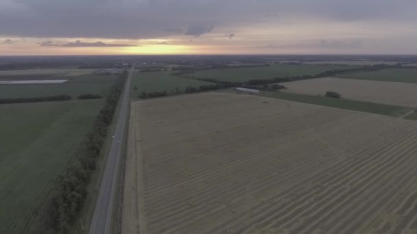 Wheat field view from the height of bird flight — Stock Video