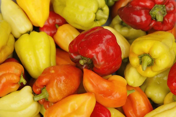 Bell pepper red and yellow harvest autumn Stock Picture