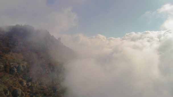 朝の山の風景 — ストック動画