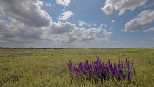 Timelapse Video Snabbt Rörliga Våren Moln Varierande Moln Stäppen Och — Stockvideo