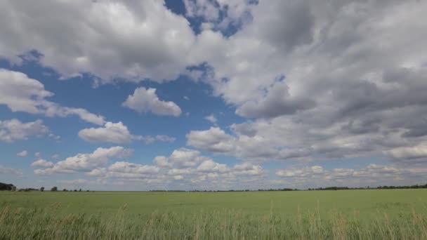 timelapse video nuages printaniers rapides dans des nuages variables sur la steppe et la rivière 