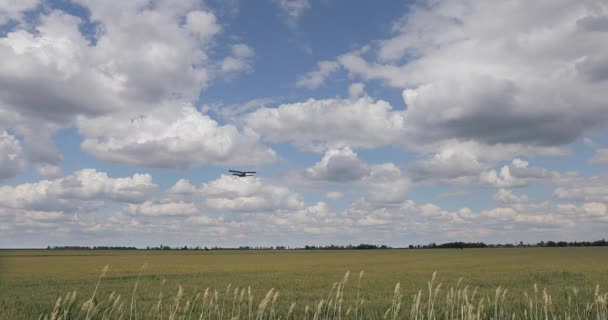 Летающий Голубому Небу Ретро Винтовой Самолет — стоковое видео