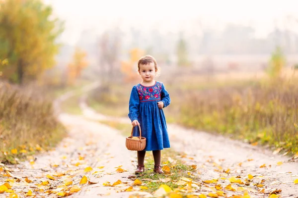 Bonito Menina Vestindo Jeans Vestido Segurando Cesta Com Folhas Outono — Fotografia de Stock