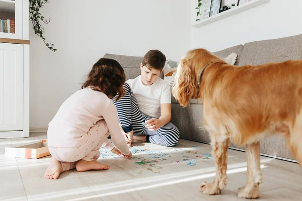 Brother Sister Playing Puzzles Home Children Connecting Jigsaw Puzzle Pieces — Stock Photo, Image