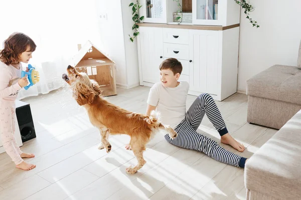 Børn Med Hund Derhjemme Stue Leger Bobler Have Det Sjovt - Stock-foto