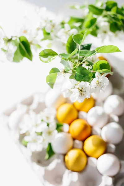 Huevos Amarillos Blancos Bandeja Cartón Con Rama Flor Feliz Concepto — Foto de Stock