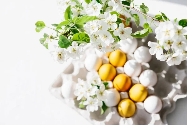 Huevos Amarillos Blancos Bandeja Cartón Con Rama Flor Feliz Concepto — Foto de Stock