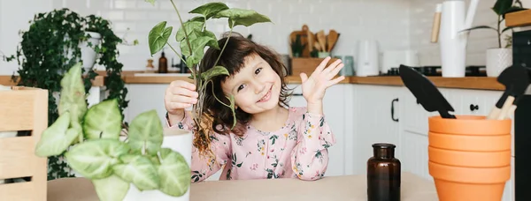 Adorable Year Child Girl Planting Syngonium Houseplant Pot Home — Stock Photo, Image