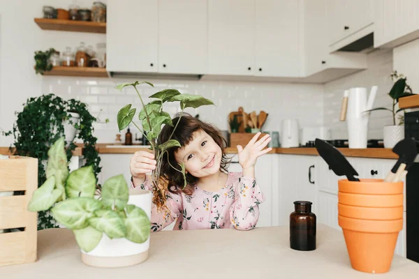 Adorable Year Child Girl Planting Syngonium Houseplant Pot Home — Stock Photo, Image