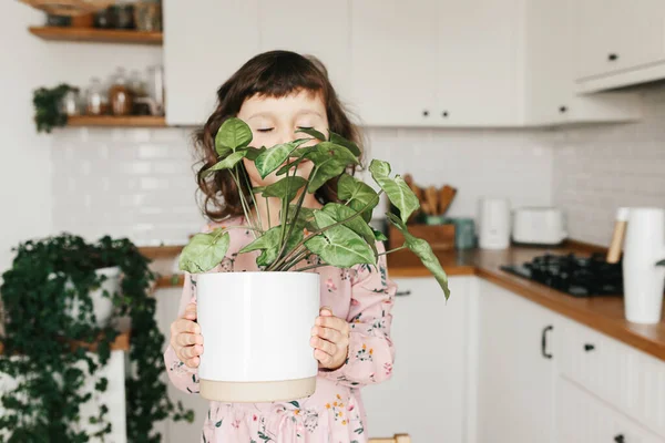 Adorável Menina Anos Está Plantando Uma Planta Sala Vaso Casa — Fotografia de Stock