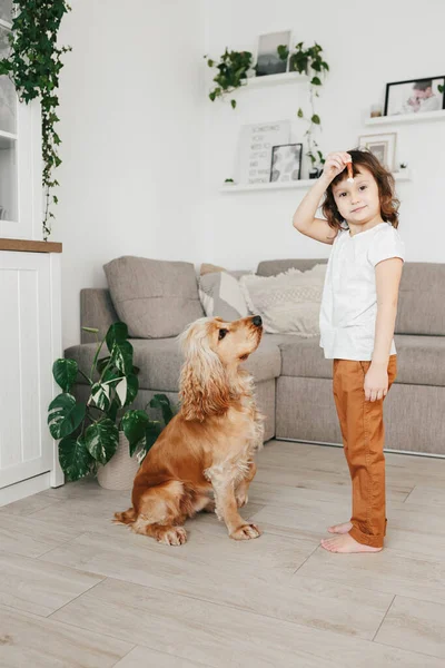 Niña Sosteniendo Comida Para Perros Entrenando Perro Para Que Siente —  Fotos de Stock