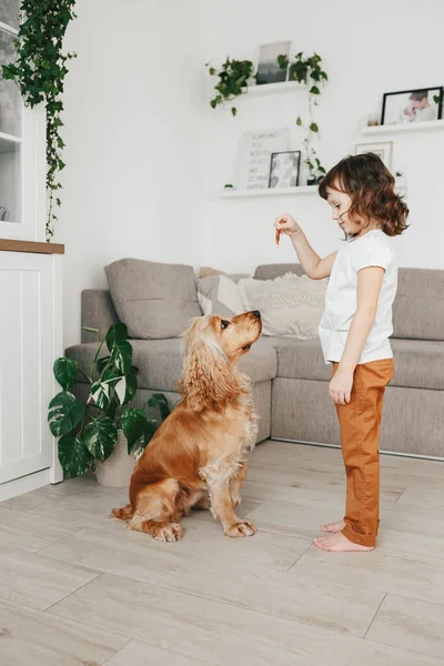 Little Girl Holding Dog Snack Food Training Her Dog Sit — Stock Photo, Image